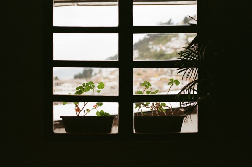 Photo Window film